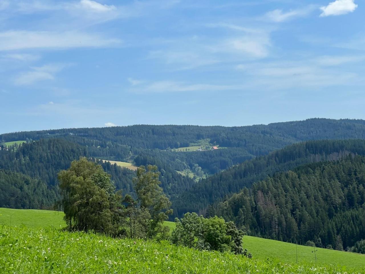 Landhaus Valentin Triberg im Schwarzwald Ngoại thất bức ảnh