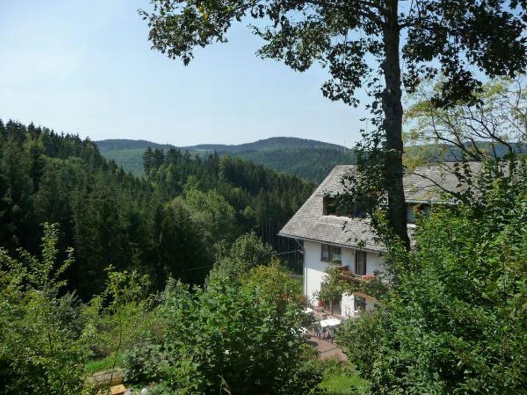 Landhaus Valentin Apartment Triberg im Schwarzwald Ngoại thất bức ảnh